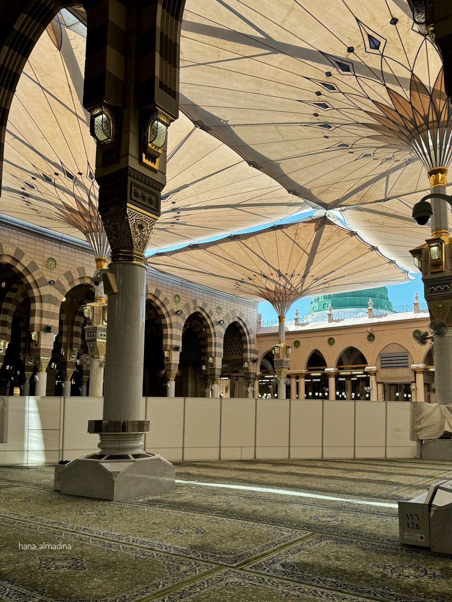 hana_almadina's tweet photo. اللهم المدينة .. نورها وسرورها ورزقها والمتسع في أرضها ، الله طيبة الطيبة لا نبغي عنها حولا https://t.co/hsRW9y5B2N
