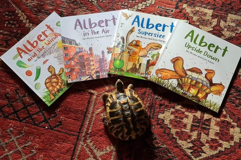 AlbertTortoise's tweet photo. We love seeing YOUR #tortoises and #turtles with our #ALBERTthetortoise #books. #AvailableNow 10 #ALBERT #picturebooks, 3 #BoardBooks & #ActivityBook https://t.co/sGYhBlFUhP
#bookseries #illustrated #bookcover #storytime https://t.co/RbgvEVmVnt