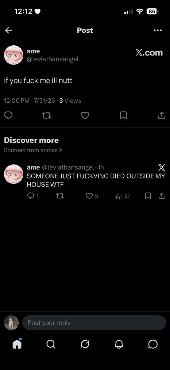 ⋆‧°𓏲ּ𝄢 tweet media