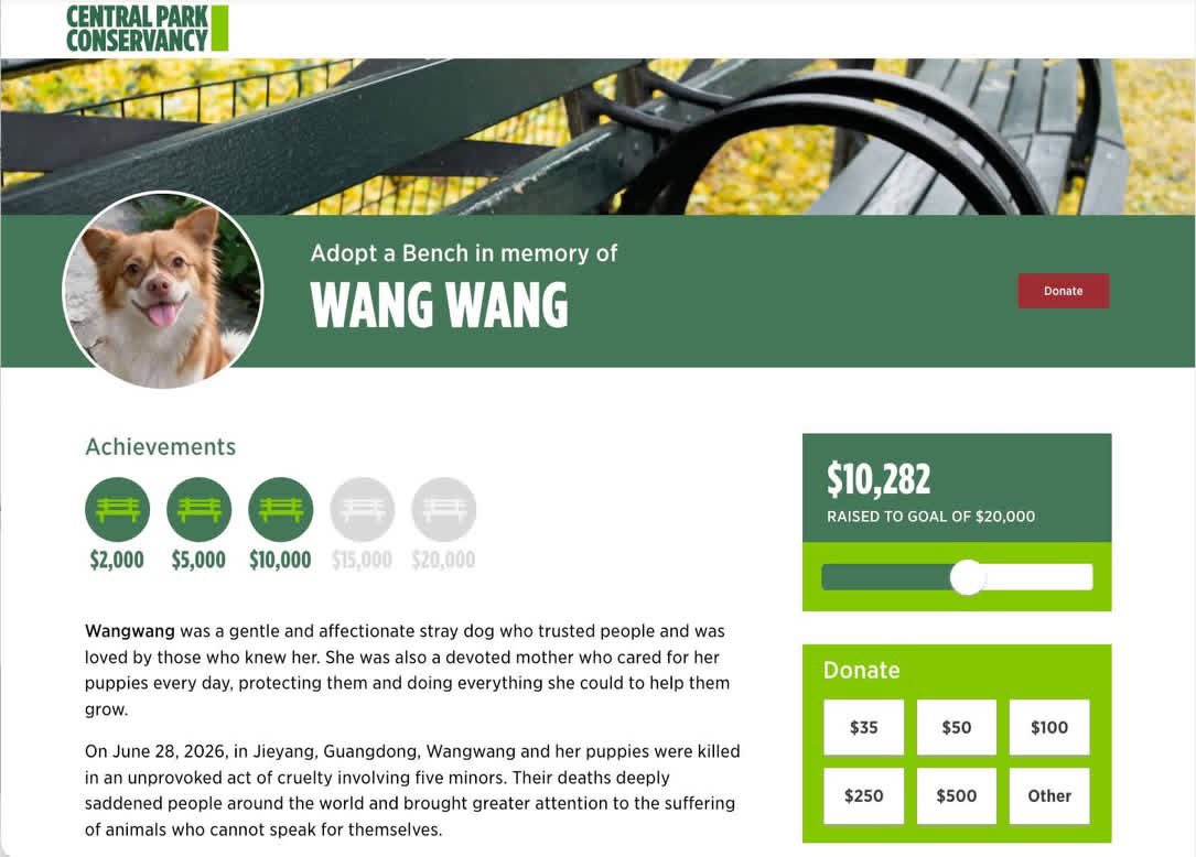 lidalang40's tweet photo. 美国纽约中央公园（Central Park Conservancy）协助设立了官方众筹链接，计划为旺旺认捐一把永久的纪念长椅。前天消息发出后，短短两天内就筹集到了一万多美金😭❤️ 深深感谢所有捐款和转发链接的好心人们🙏
下方是中央公园的官方链接，所有善款将直接进入中央公园的机构账户

https://t.co/iR4PEZps3u https://t.co/jN5aa48CS2