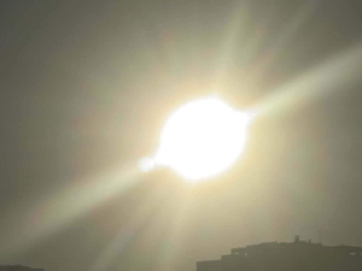 sedefibrahim's tweet photo. ☀️ Belki çoğumuz için öyledir ama şu an hayatımdaki en özel şeylerden birinin (mucize🪄) güneş olduğunu fark ettim. (Parlamasının ve ısıtmasının şükrüne🙏🏻) https://t.co/0Tzz1iY0GR
