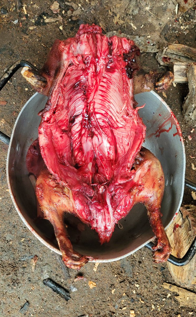 DanielRegha's tweet photo. Bush rabbit pepper soup...😀 https://t.co/t4PlH1wwCf
