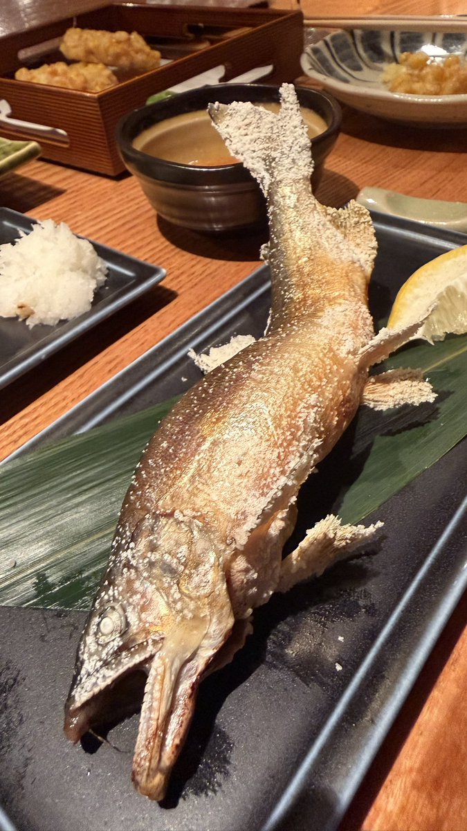 dendrobium_sm's tweet photo. 最近のデートコースシリーズ
🐟🍸🎣🍷
さいこー https://t.co/Xy3B0jtNpy