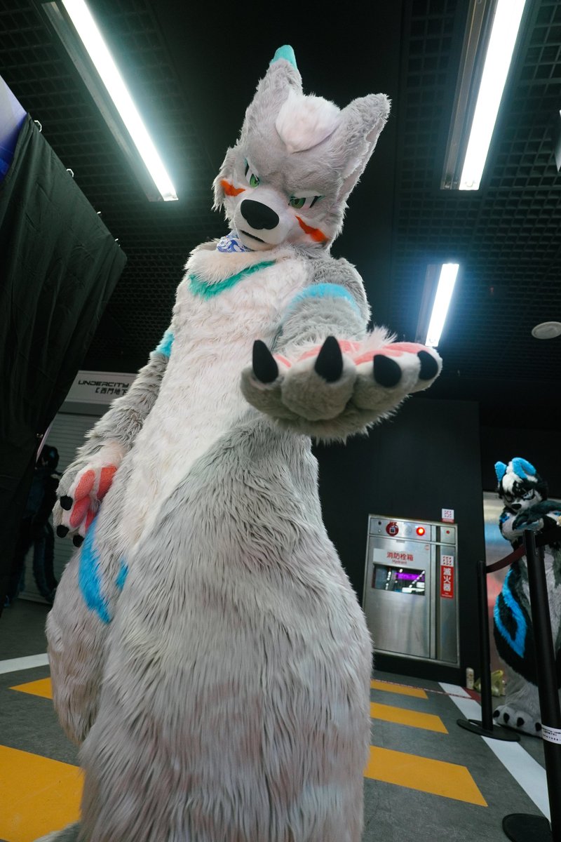 Zlueagle's tweet photo. Just hold it~

📸 @samxdotpy 

#FursuitFriday https://t.co/Npt3sRNbF6