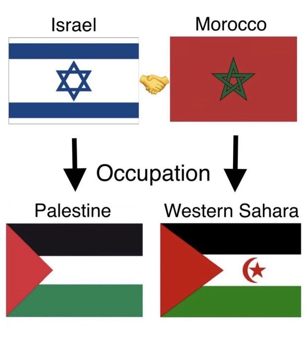 hispano_studies's tweet photo. A reminder: https://t.co/dTklJWZ8U7