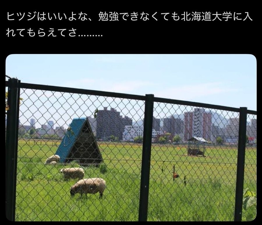 息できなくなるぐらい笑った画像 tweet media