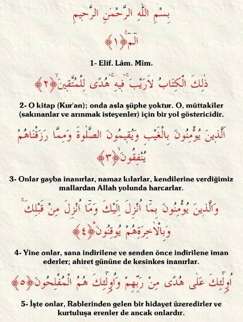 Istanbulum1234's tweet photo. @rihsaneliacik Biz iman edip salih amel işleyenlerin kurtuluşa ereceklerine iman ediyoruz.
 
Siz ve meslektaşınız M. Islamoglu amellerin tek başına yeterli olduğunu ve iyilik yapan kâfirlerin Cennet'e  gideceğini iddia ediyorsunuz.

Sizin dininiz size, bizim dinimiz bize. https://t.co/6jHK2NbAF7
