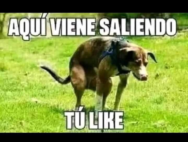 yamil_ramon's tweet photo. @DavidFaitelson_ https://t.co/8ti0mevGBL