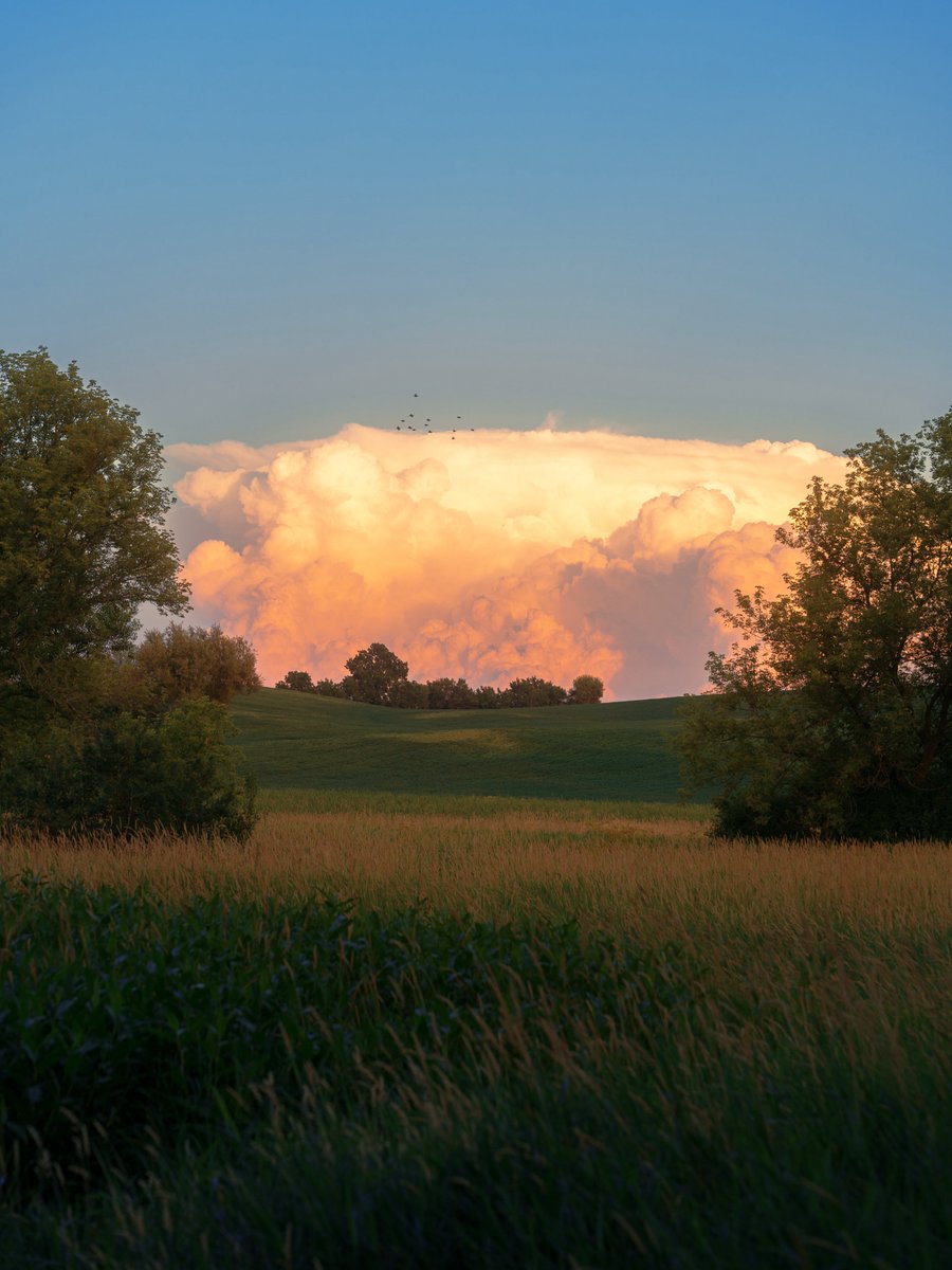 _thecolorfulkid's tweet photo. Sunset fields https://t.co/hvtCNZ1W1Y