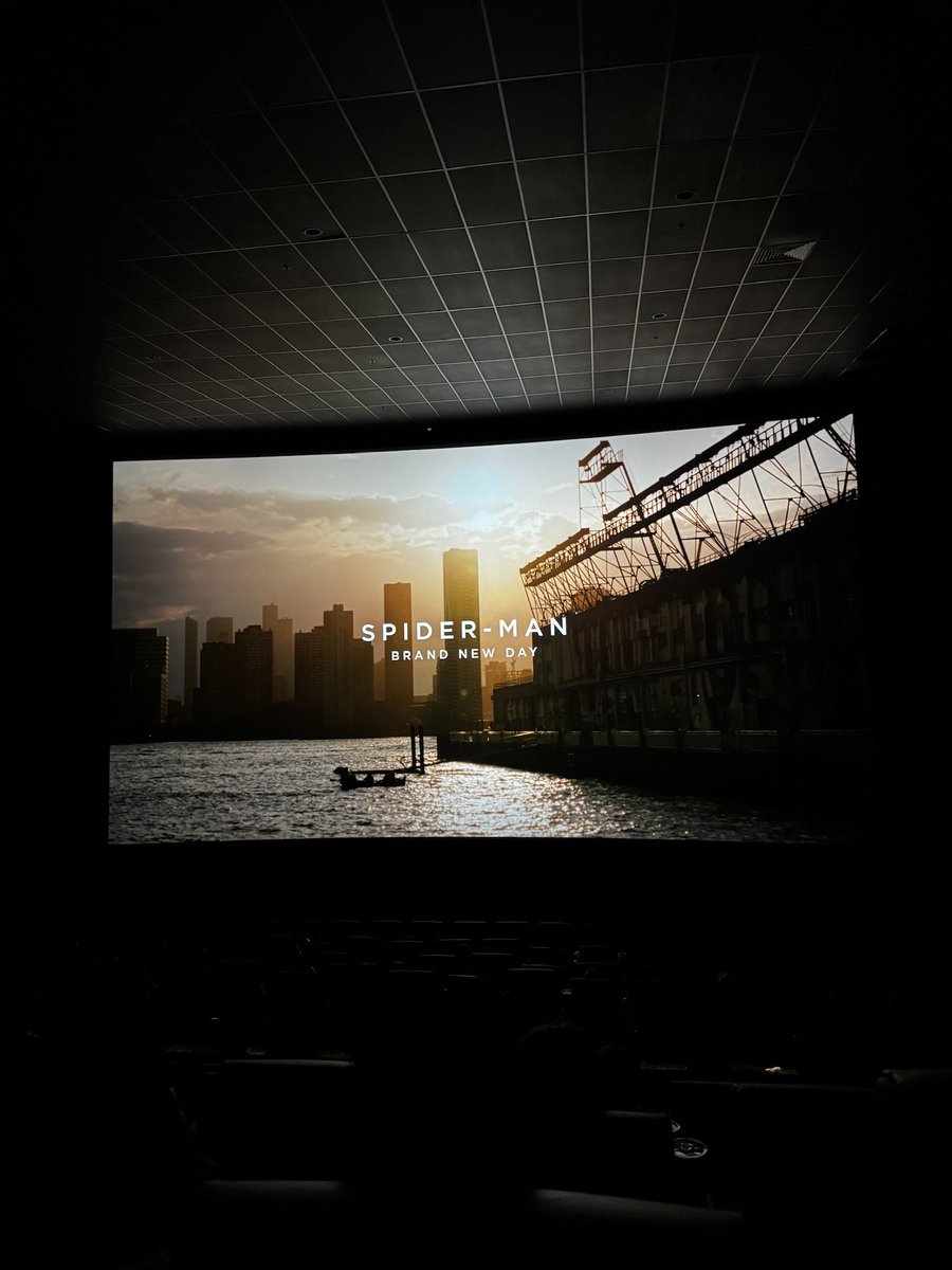 Gabe_sark's tweet photo. Cinema 9.5/10 best Spiderman film ever made. Argue with a wall https://t.co/nJ4yjqMYlS