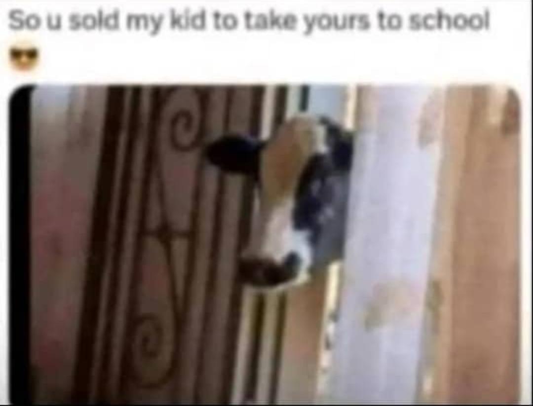jonah39341's tweet photo. At this point, even taking milk is a crime😭😅 https://t.co/TtcOgAGt8g