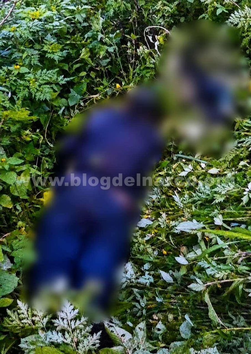 blogdelnarcomex's tweet photo. Soldados abatieron en Cotija, Michoacán a tres de los Sicarios del CJNG que aparecieron en un video realizando un retén hace unos días, el resto de gatilleros robo coches para bloquear caminos y huir, LEE MÁS AQUÍ 👇👉 https://t.co/DnHDTXj1YQ https://t.co/l5G3ewjdFn
