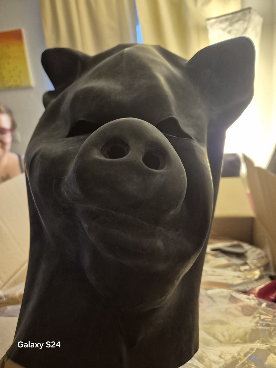 sadistinsucht's tweet photo. Sei mein Schwein 😏 https://t.co/0lm78IQ2PG