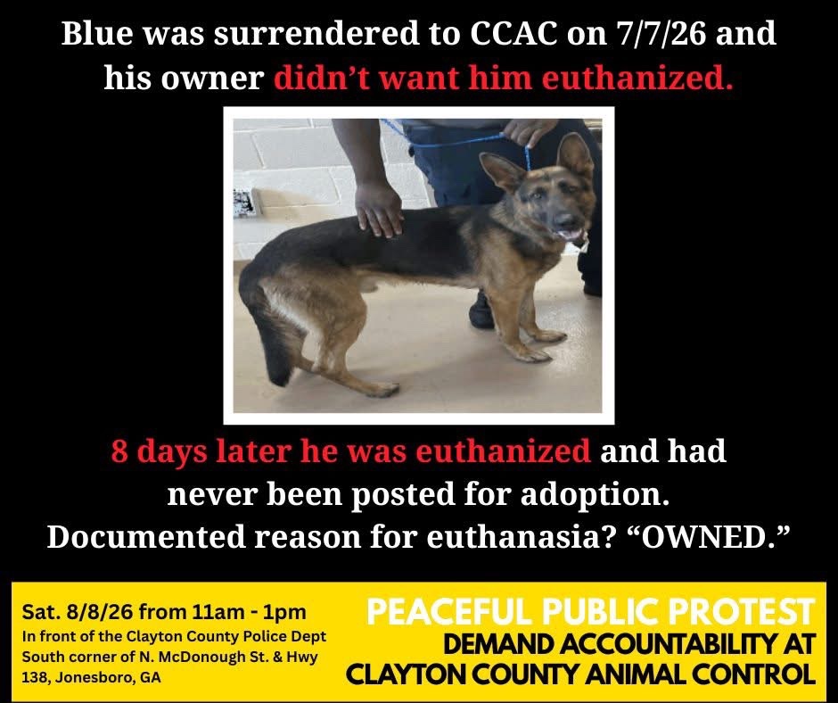 fionaismybitch's tweet photo. PROTEST PLANNED AUGUST 8Th IN CLAYTON COUNTY, GA‼️‼️‼️
🚨𝐁𝐥𝐮𝐞'𝐬 𝐒𝐭𝐨𝐫𝐲 𝐑𝐚𝐢𝐬𝐞𝐬 𝐌𝐨𝐫𝐞 𝐐𝐮𝐞𝐬𝐭𝐢𝐨𝐧𝐬 𝐓𝐡𝐚𝐧 𝐀𝐧𝐬𝐰𝐞𝐫𝐬

Blue was found after spending two days at a citizen's home. Both the finder and the responding Animal Control Officer described him as friendly. His owner was difficult to work with and repeatedly refused to retrieve Blue, then initially refused to sign the surrender paperwork saying:

     "𝐈'𝐦 𝐧���𝐭 𝐠𝐨𝐧𝐧𝐚 𝐥𝐞𝐭 𝐲'𝐚𝐥𝐥 𝐤𝐢𝐥𝐥 𝐭𝐡𝐞 𝐝𝐨𝐠."

After additional discussions with Animal Control and law enforcement, he ultimately surrendered Blue. 𝐄𝐢𝐠𝐡𝐭 𝐝𝐚𝐲𝐬 𝐥𝐚𝐭𝐞𝐫, 𝐁𝐥𝐮𝐞 𝐰𝐚𝐬 𝐞𝐮𝐭𝐡𝐚𝐧𝐢𝐳𝐞𝐝.

The outcome report lists the outcome subtype as "OWNED," but the records produced contain:
❎No veterinary records
❎No behavioral evaluation
❎No documentation explaining why he was euthanized
❎No explanation of why adoption or rescue was not pursued

They also reference an Owner Surrender Euthanasia Form that was 𝐧𝐨𝐭 𝐢𝐧𝐜𝐥𝐮𝐝𝐞𝐝 in the records produced.

We're submitting a follow-up Open Records Request seeking the records that should explain why this healthy, friendly dog was euthanized. Until those records are produced, the public is still waiting on answers.

𝐂𝐀𝐋𝐋 𝐓𝐎 𝐀𝐂𝐓𝐈𝐎𝐍📣📣📣📣📣📣📣
𝐓𝐡𝐞 𝐫𝐞𝐜𝐨𝐫𝐝𝐬 𝐦𝐚𝐲 𝐡𝐚𝐯𝐞 𝐛𝐞𝐞𝐧 𝐨𝐦𝐢𝐭𝐭𝐞𝐝, 𝐛𝐮𝐭 𝐨𝐮𝐫 𝐯𝐨𝐢𝐜����𝐬 𝐰𝐨𝐧'𝐭 𝐛𝐞. 𝐉𝐨𝐢𝐧 𝐮𝐬 𝐨𝐧 𝐀𝐮𝐠𝐮𝐬𝐭 𝟖𝐭𝐡 𝐚𝐧𝐝 𝐝𝐞𝐦𝐚𝐧𝐝 𝐚𝐜𝐜𝐨𝐮𝐧𝐭𝐚𝐛𝐢𝐥𝐢𝐭𝐲.

FB LINK: https://t.co/B9QfzBMN9n