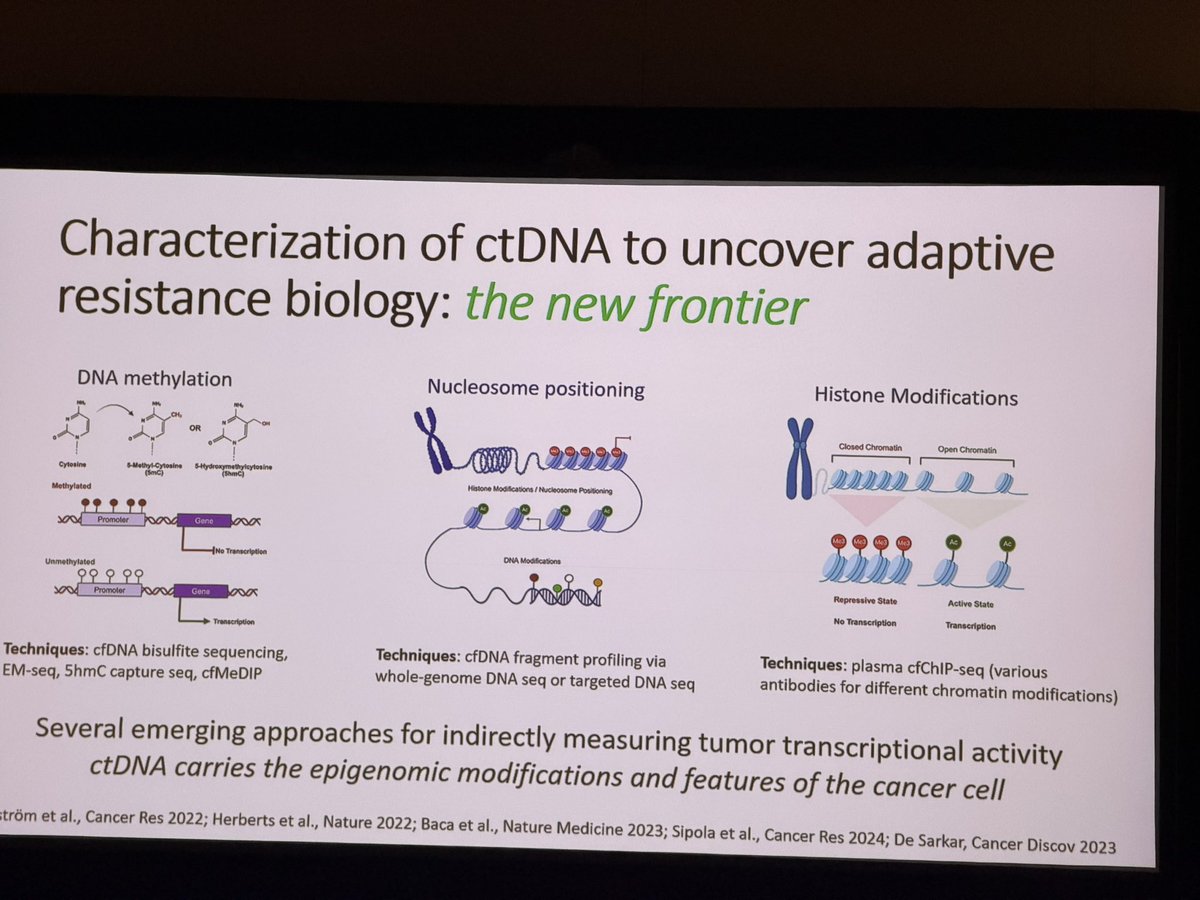 DrKarineTawagi's tweet photo. Last day #BCAN26TT 🧡

@ResearchWyatt @BCCancer on ctDNA epigenomics to track adaptive resistance in mUC 🧬

➡️ mapping DNA methylation, nucleosome positioning &amp; histone marks

➡️ liquid biopsy can infer tumor gene expression w/o tissue biopsy

Emerging, not yet clinic-ready https://t.co/WHDTbTB6Gq