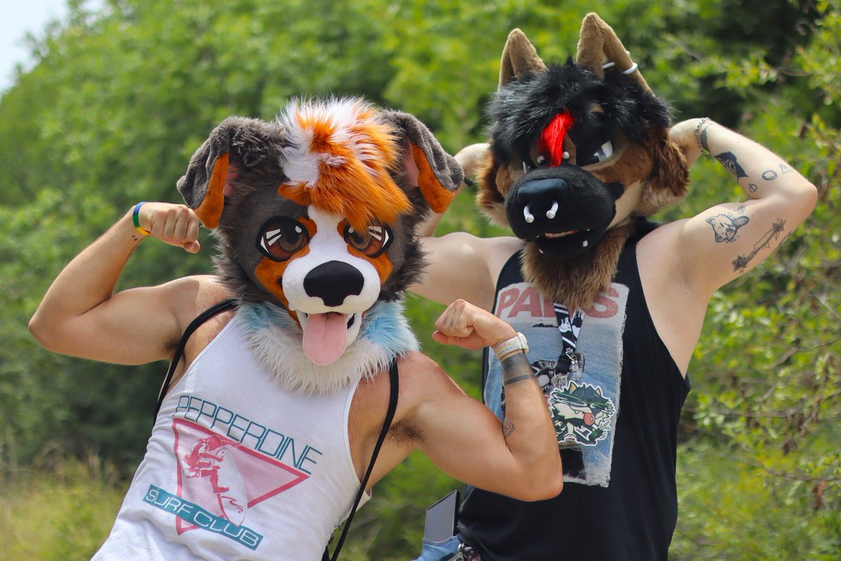 AlpineGShep's tweet photo. Happy #FursuitFriday with @BoosterDawg 
Big Dawgs in town https://t.co/LVKMi9CvYc