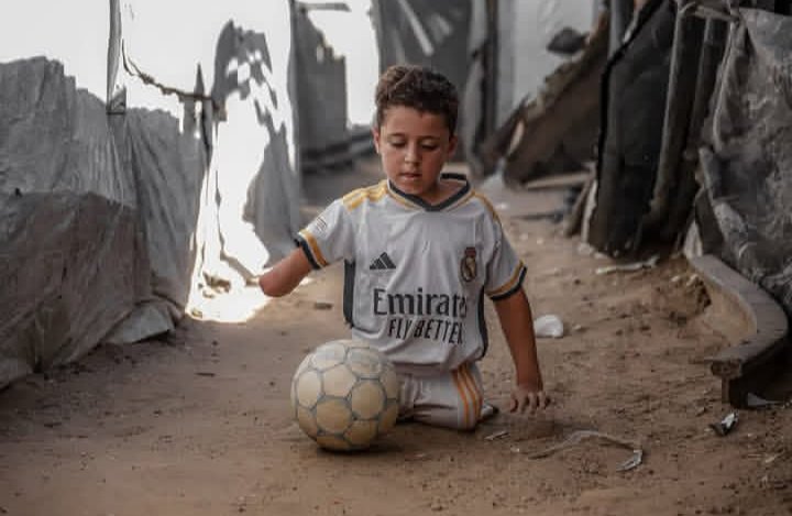lamis from gaza 𓂆 🇵🇸 tweet media