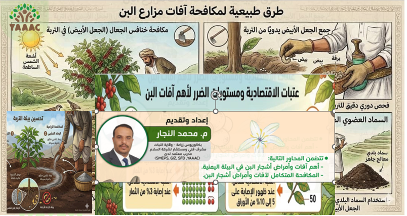 AGROENGINEERYEM's tweet photo. تم بحمدالله اختتام دورة الممارسات الزراعية السليمة لإنتاج بن عالي الجودة يوم أمس. كل الشكر لمن حضر وشارك معنا وكل الشكر للمدرب المتميز المهندس محمد احمد النجار على المعلومات القيمة التي قدمها في الوقاية ومكافحة الحشرات والآفات، والوقاية ومكافحة الامراض والأعفان. https://t.co/xnbwgDSpsT