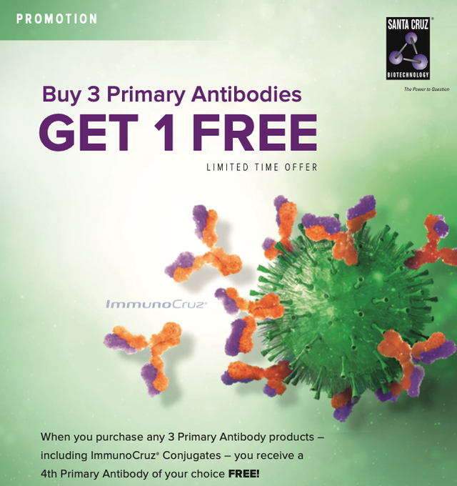SantaCruzBio's tweet photo. New Promo!    Buy 3 Primary Antibodies, Get 1 FREE!    Buy any 3 Primary Antibodies from Santa Cruz Biotechnology, including conjugated forms or bundles, and get a 4th Primary Antibody of your choice free of charge. #FreeVial #Free #Promotion #Deal #Research #SCBT 🧪 https://t.co/CLzG2f43tL