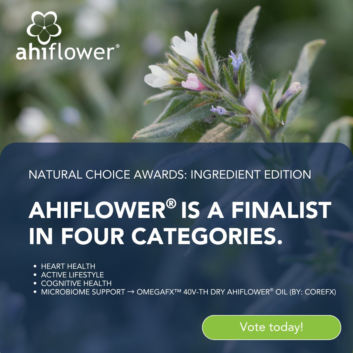 ahiflower tweet picture