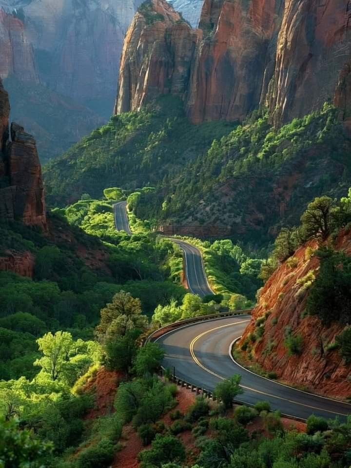 nature_c2ngn's tweet photo. Zion National Park in Utah😍 https://t.co/jW0skdeeET