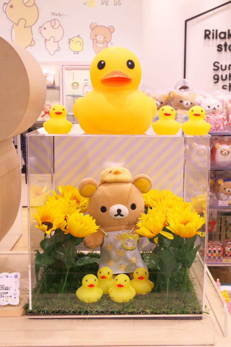 Takatan_zd's tweet photo. 最終日なので大きなひよこさんとも一緒に🐤📷 https://t.co/RlgeGEdSXh