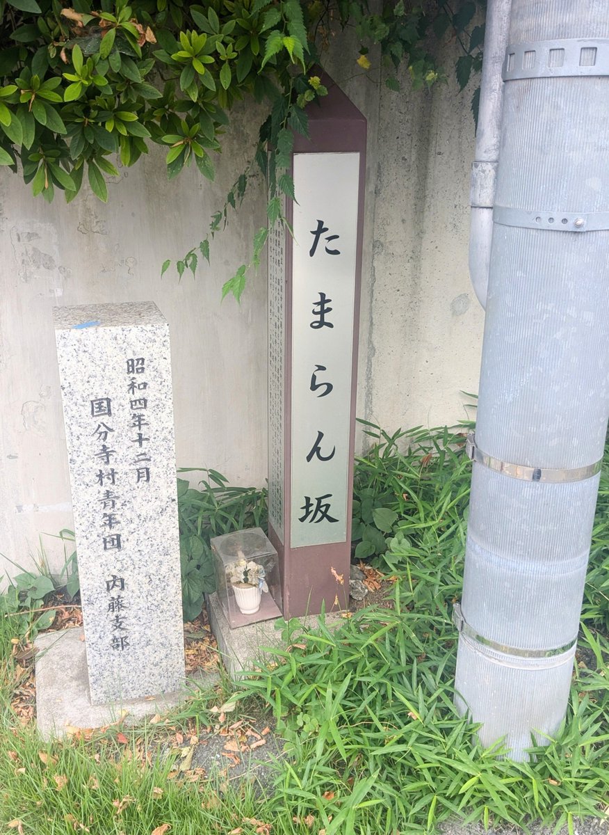 gn_min10's tweet photo. 🤍たまらん坂
多摩蘭坂を登りきる手前の 坂の途中の 家を借りて住んでる〜 https://t.co/tLU0C5PxXp