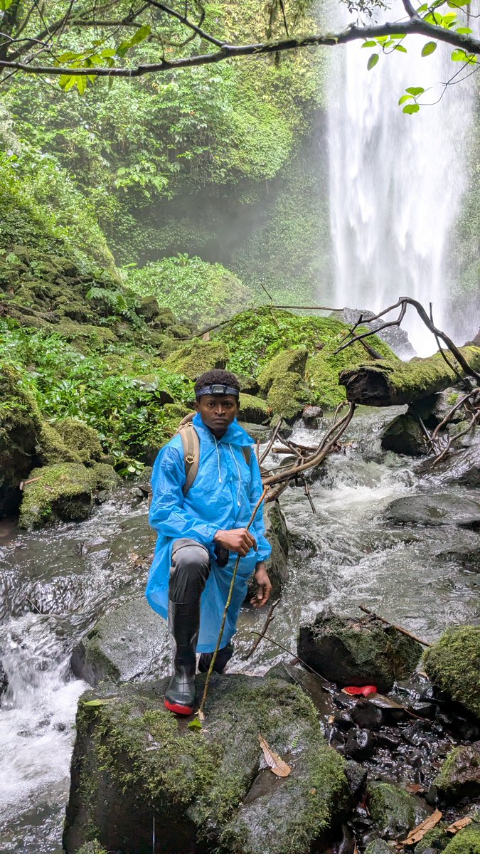 fokouoscar's tweet photo. Caught this moment by a waterfall during a survey in SW Region, Cameroon. Chasing amphibians has its scenery perks too https://t.co/6tSgE56jl2