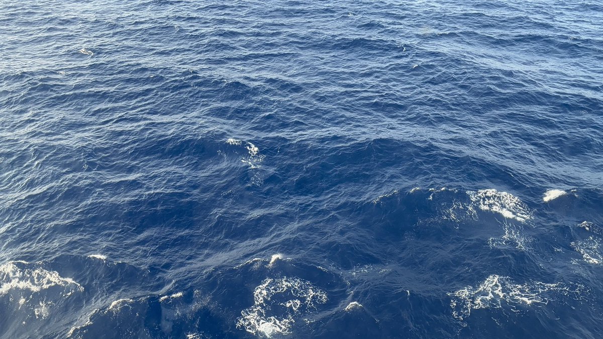 GamerGuyMC87tv's tweet photo. This was definitely the most beautiful ocean in the sea that I’ve ever seen in my entire life. This was definitely the best vacation cruise ever. Can’t wait to go back again next year it’s gonna be a blast to remember thank God for giving us the experience for us to live in your world for us to see what it’s like in the ocean to see what the cruise 🚢 is the crew even had a movie theater in there and it was so awesome and this bird decided to drop by and say hello when I was relaxing on the cruise definitely the best vacation ever is on a cruise. Amen. 🙏🏾 🚢 🚢🚢🚢🚢🚢🚢🚢🚢🚢♥️🚢🚢♥️🚢🫶🏾🫶🏾🚢🚢🫶🏾🫶🏾🚢🫶🏾🚢♥️🚢🚢🤗🤗🤗🤗🤗🤗🤗🤗🤩👍🏾💘💘💘💘💘💘👍🏾👍🏾👍🏾👍🏾👼🏾💘😂🚢♥️♥️🚢🫶🏾🚢🫶🏾🫶🏾🤗🤗🫶🏾♥️😀♥️😇🫶🏾🤣 I’m always happy and excited to go on a cruise 🚢 thank God for giving us life to experience this beautiful moment and this BEAUTIFUL DAY AMEN 🙏🏾