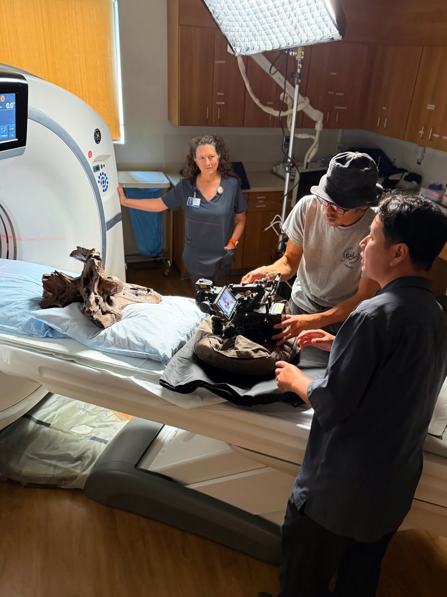 WitmerLab's tweet photo. Last week I hosted the Japanese TV network @NHK to film another fun documentary. The focus was T. rex &amp; Triceratops. We CT scanned a replica T. rex braincase at @OhioHealth O'Bleness Hospital, recreating what we did with the real deal >20 yrs ago (see captions). More below⬇️ 1/2 https://t.co/B3sDH86cGn