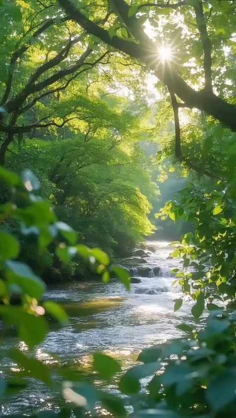 johnedisoncas's tweet photo. غروب الشمس يتغير مع الفصول دون أن يحتاج من يذكّره بذلك.
eung https://t.co/004hvT6RT8
