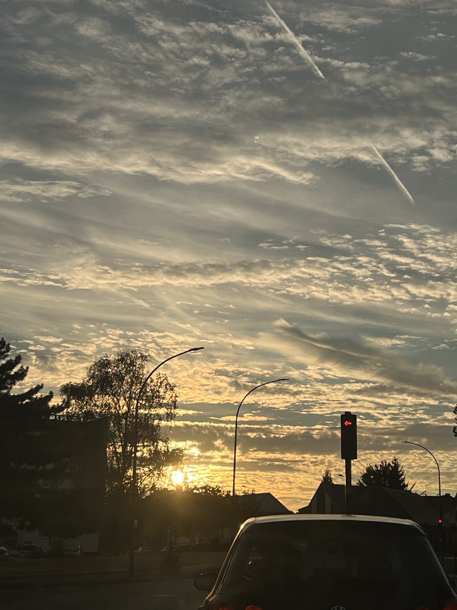 MicaelaRF17's tweet photo. Quando o assunto é tirar as melhores fotos do céu

Eu : https://t.co/UxDfpPlzeG