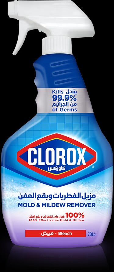 aro00oj_no's tweet photo. @vnebras هذا العفن الأسود ليس محد كان يغسله وينظّفه ومخلينه واضح محد كان ينظفه 
كلوركس للعفن يطيره نهائيا ويمنعه يتكون 
العفن الأسود إذا موجود ممكن الأبواغ الفطرية غير مرئية تطير وترجع تتكون داخل الجسم في الرئة وأماكن ثانية خطير وعلاجه مو سهل https://t.co/9wgA9OwDAJ