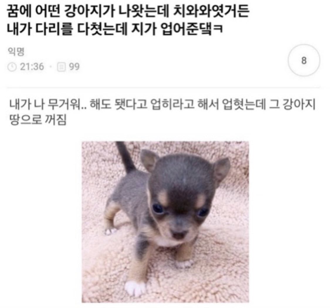 zzaramS2's tweet photo. 똥빈이 https://t.co/uyghKVUrjm