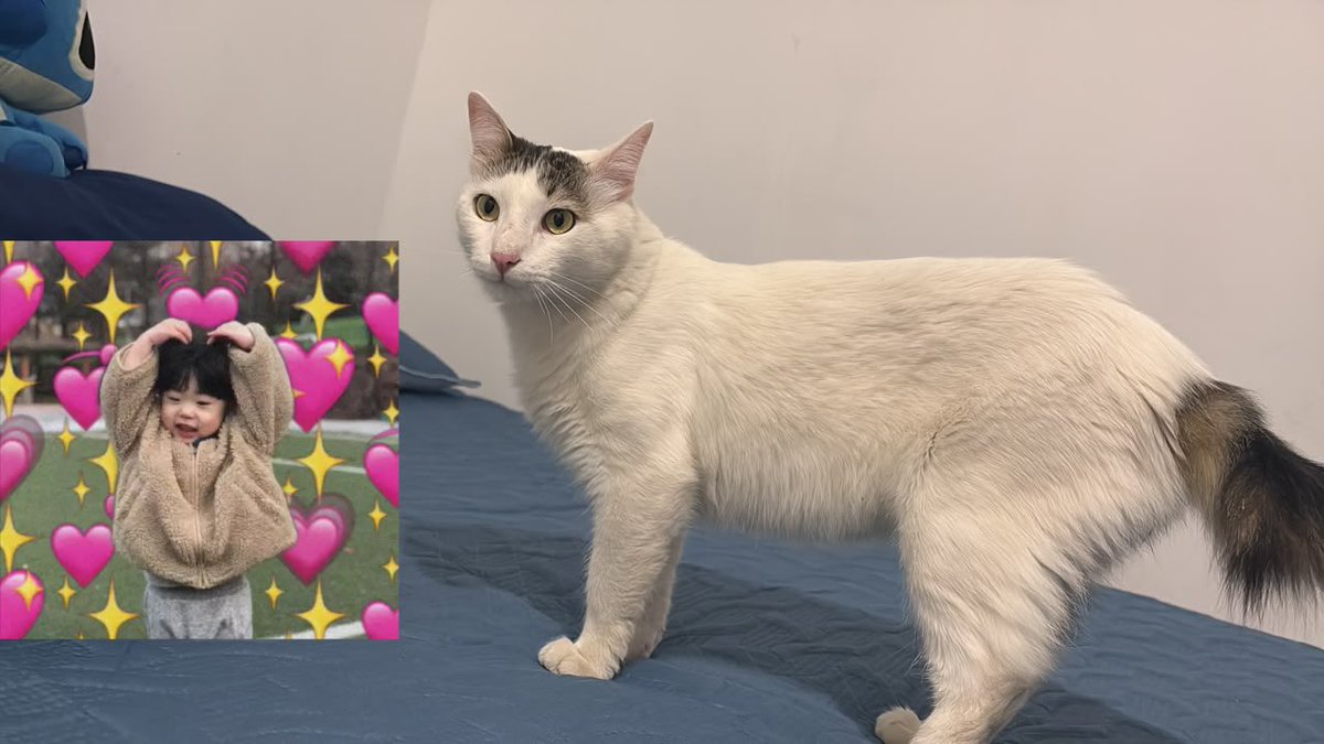 katee__06's tweet photo. 🥰HORUSITO https://t.co/Qp7GmrMTuV