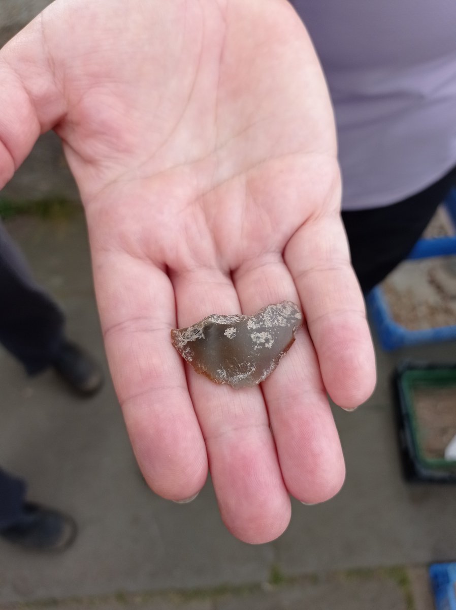 brparchaeology's tweet photo. ANOTHER piece of worked #flint came out of a possible #medieval beam slot near the midden where Bianca was working! https://t.co/835FN0rncg