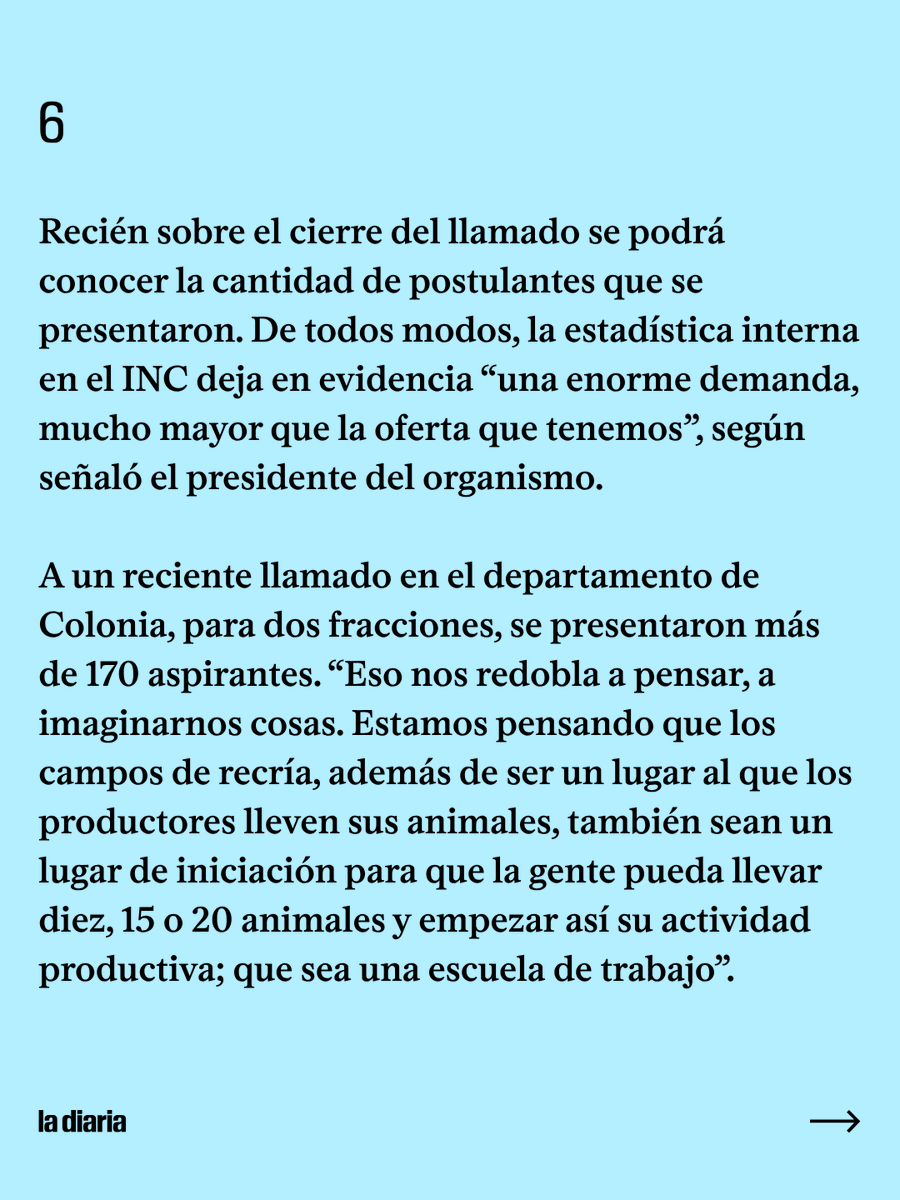 ladiaria's tweet photo. Fotos: Alessandro Maradei

https://t.co/YJDVnH5Ty2

#InstitutoNacionalDeColonización #MaríaDolores #PoloLechero #Florida #Lechería #BancoDeForraje #Mevir #UTE #MesaDeDesarrolloRural #ANEP #UTU #Udelar #Olivocultura #ColoniasLecheras #RentaProgresiva #ProductoresFamiliares https://t.co/uZYJGSMBBN