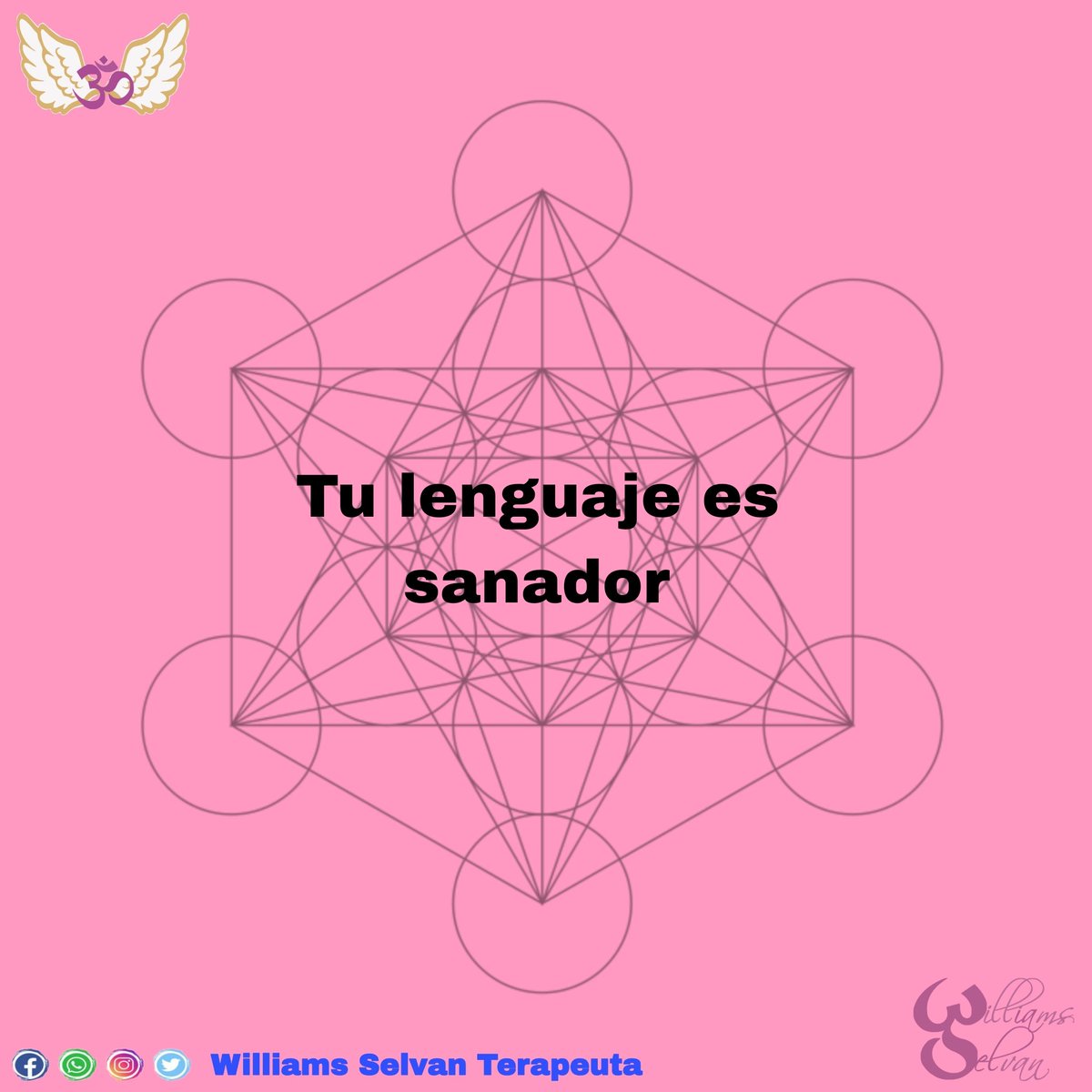 WilliamsSelvan's tweet photo. ✨ Te recordamos el poder, la energía y el impacto de tus palabras, enfócate en los efectos sanadores de estas; medita y respira profundo para que sientas el amor y el apoyo que siempre te enviamos los Ángeles ✨

#IluminaTuAlma #Arcangeles #Sanacion #Consciencia #ElTerapeuta https://t.co/HstYnSZ6U4