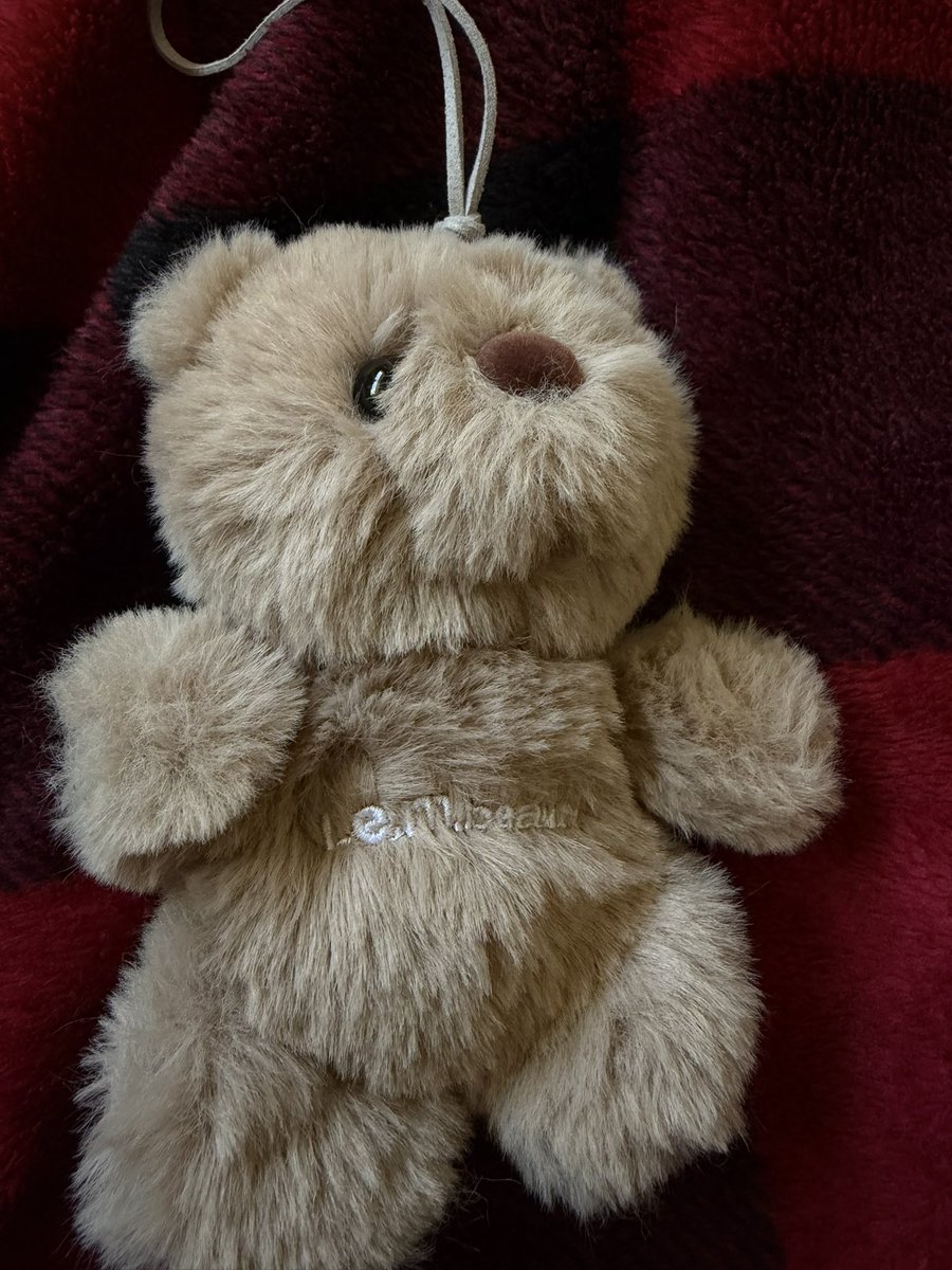 AutumnNPC's tweet photo. Guys, check the r.e.m. beauty bear you got from the pop-up in Montreal because mine says “LEM beauty.” 😭 https://t.co/E6fvTVZ9zj