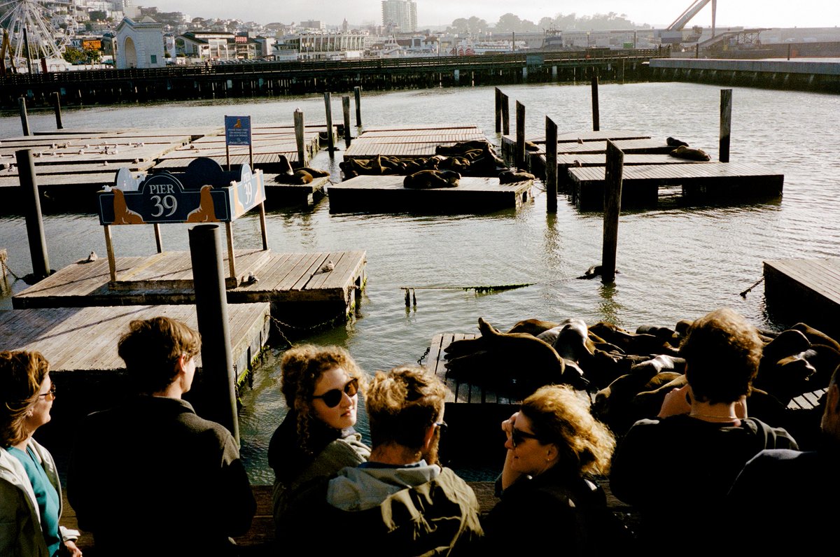 matsefcik's tweet photo. San Francisco on 35mm film https://t.co/KKaAgZeWU9