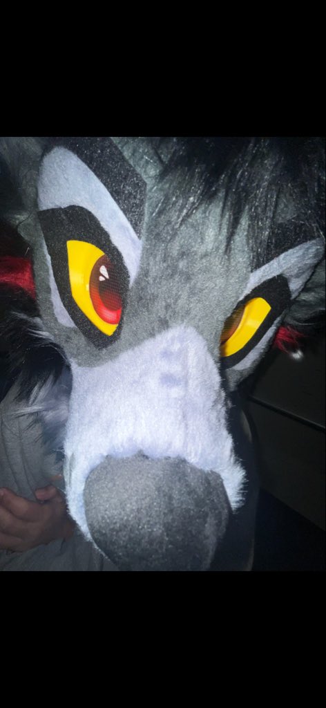 WuskyWillow's tweet photo. This dog sniffs gae ppl #fursuitfriday https://t.co/qVjgpit9iE