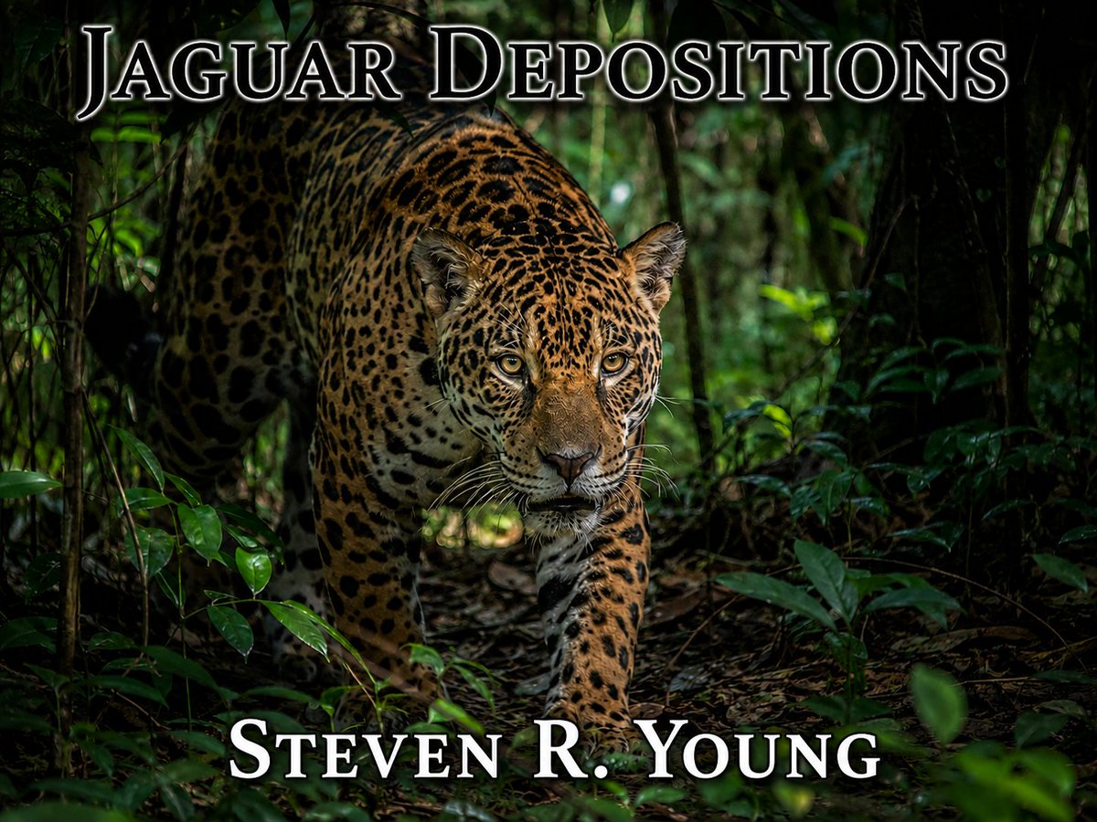 JuryAttorney's tweet photo. A scene portrays conflict that causes change. That’s story structure. It’s also the Jaguar’s deposition method. Witness starts credible. Ends exposed. In their own words. Under oath. The deposition is where you   write the story’s scenes.
https://t.co/r5e9lLIpzZ https://t.co/t6Rr9FjfB9
