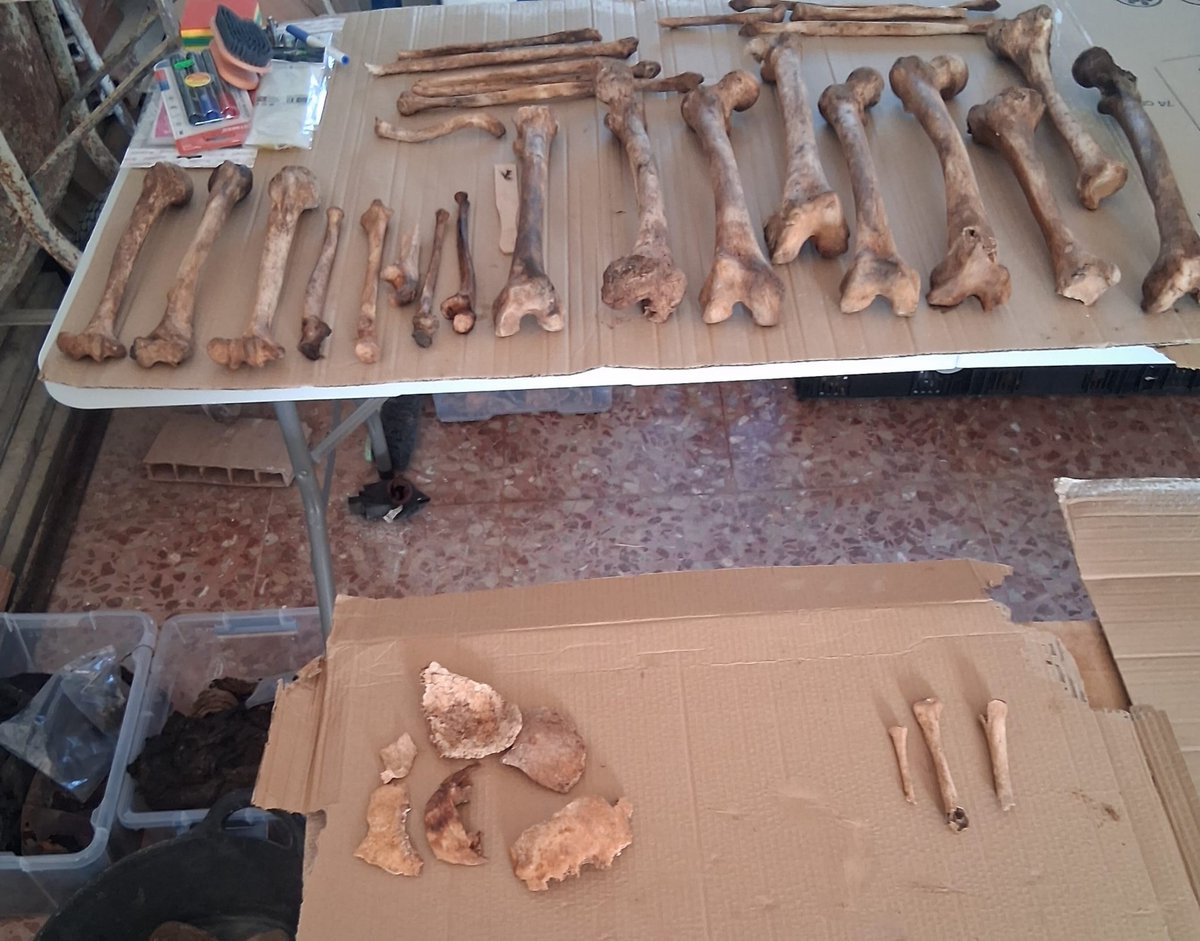 asociacionazana's tweet photo. Hoy hemos llegado al fondo de la unidad de enterramiento.
Entre otros objetos hemos encontrado zapatos de distintos tamaños, un lapicero, botones y un casquillo y un proyectil empleados en la ejecución de las víctimas republicanas.
#ExhumaciónFosaMadridejos
@SE_MemoDemo @uclm_es https://t.co/PQDVCcb0DD