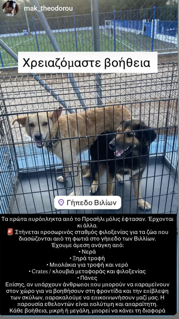 EmptyTheCages_'s tweet photo. Χρειάζονται εθελοντές στο γήπεδο Βιλλιων. 
Τα πρώτα ζωα έφτασαν. 
#εθελοντες #Βιλλια #ΠορτοΓερμενο #φωτια https://t.co/ceo6g9i1Cg