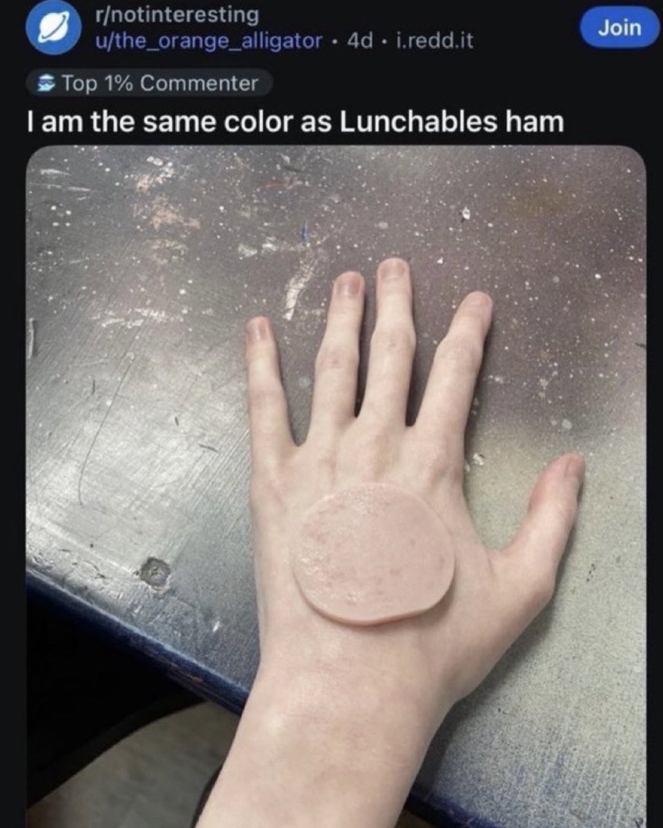 RespectfulMemes's tweet photo. https://t.co/TDI6WlU9jI