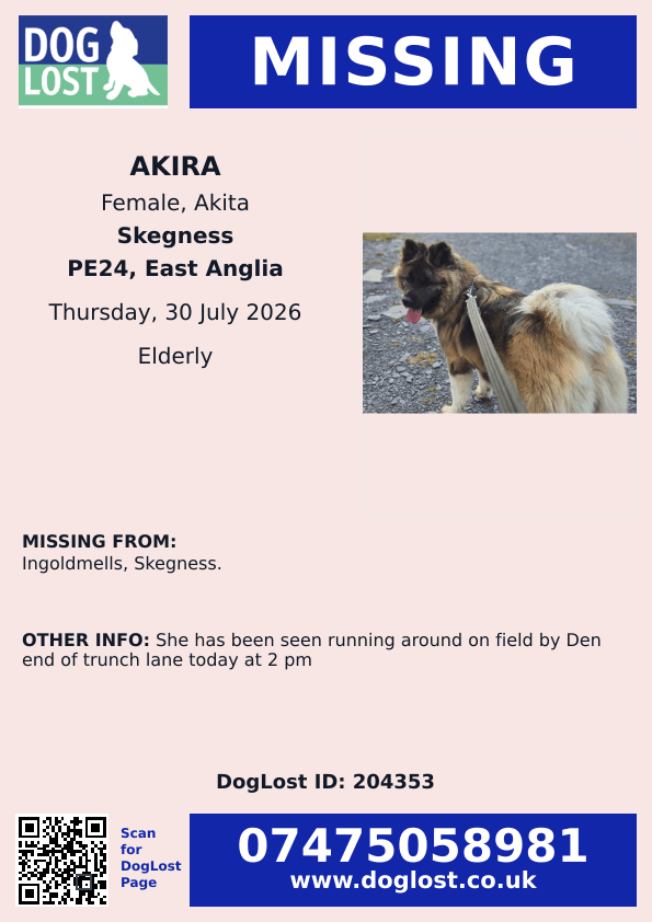 millypod1's tweet photo. 🆘30 JULY 2026 #Lost AKIRA #ScanMe
ELDERLY Akita Female
#Ingoldmells #Skegness #PE24 #Lincolnshire
She has been seen running around on field by Den end of Rrunch Lane today at 2 pm
https://t.co/E8wgn3emSU https://t.co/9k66bCuCn2