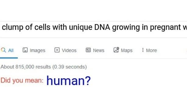 WilberfProject's tweet photo. That's a human person in there, no matter how many cells he or she is. https://t.co/LIg9rIdsL0