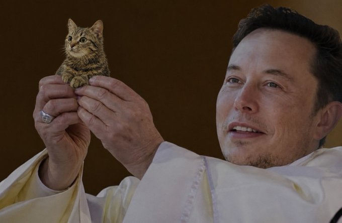 MoEthWhale's tweet photo. Elon pumped dog(e).

Now it's time for @elonmusk to pump cat(e).

Dogecoin &amp; Catecoin, $DOGE &amp; $CATE, it's obvious.

It's cat(e) szn time. 🐈 https://t.co/kMWNepUGhy