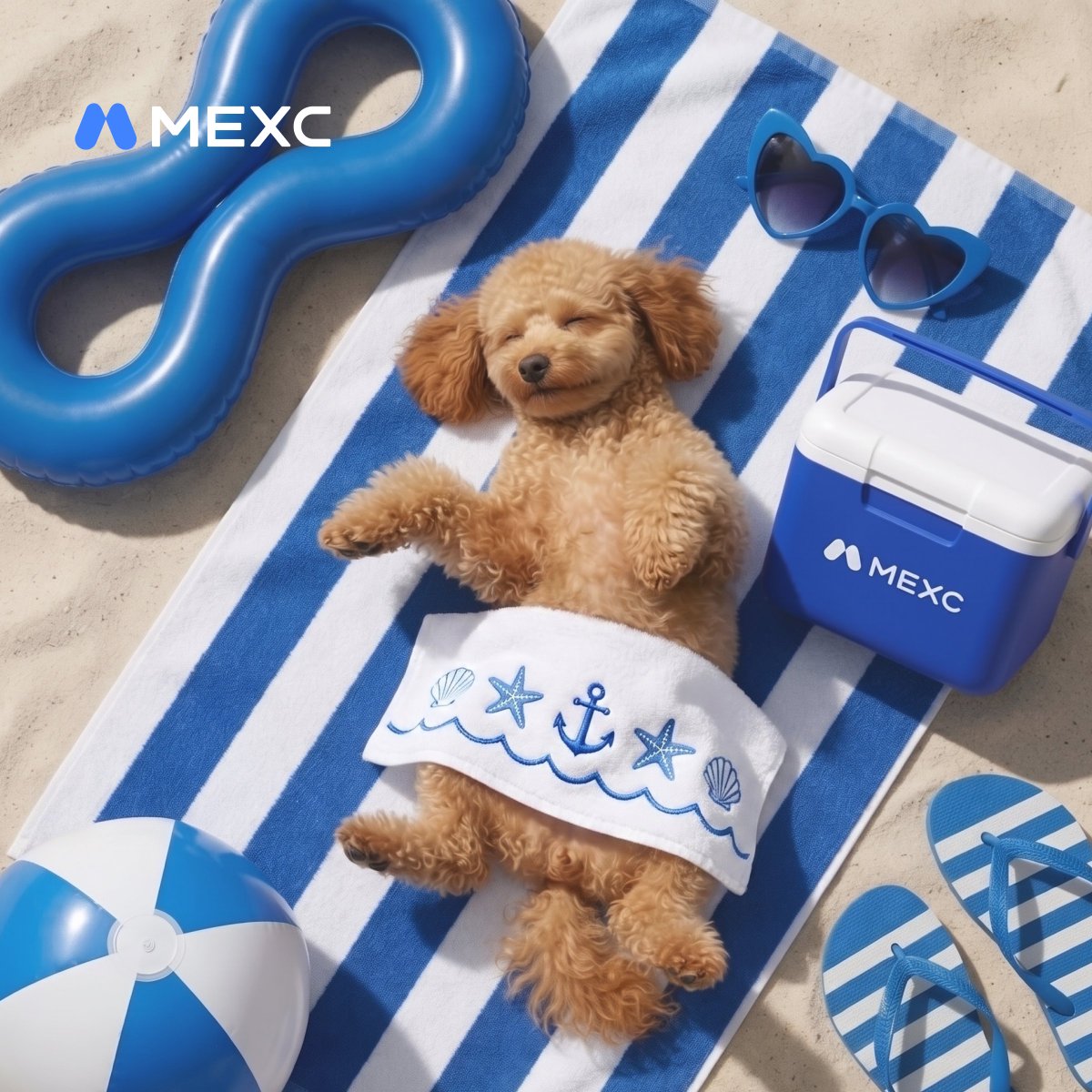 Alpha_MEXC's tweet photo. GM to all who let their DOGEs touch sand this weekend.💙 https://t.co/r0qn5nRy6K