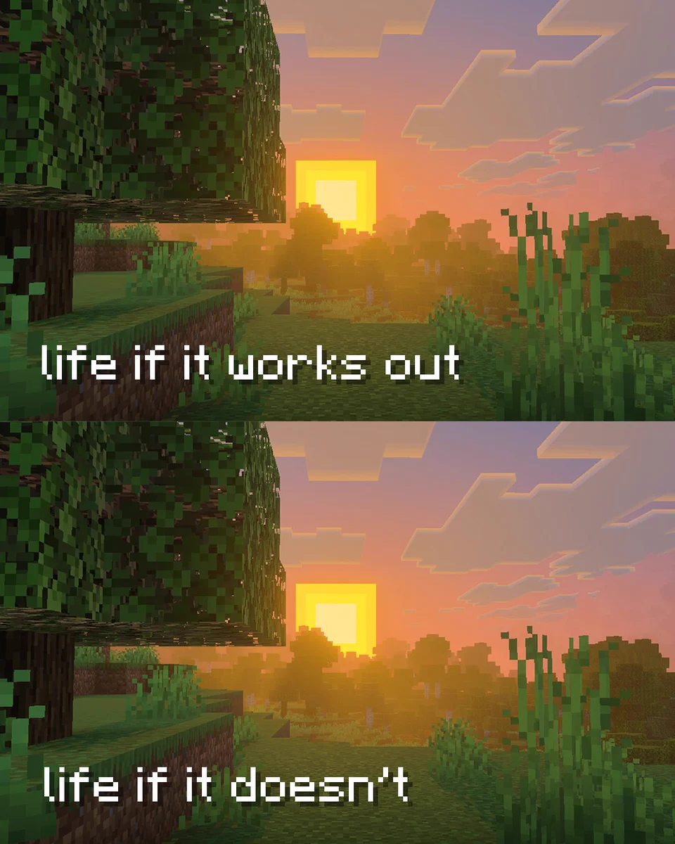 Image split halfway across. The top and bottom half of the image are the same thing, a calm minecraft sunset. However, text on the top image reads "life if it works out" and text on the bottom says "life if it doesn't"